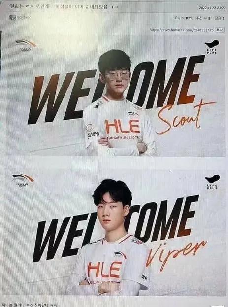 hle新阵容scout,hle三个冠军