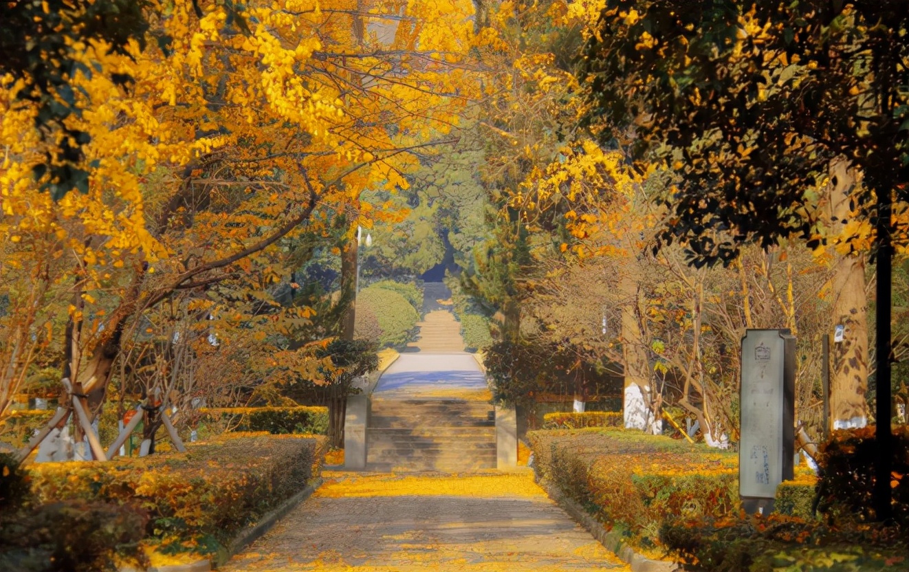 北京大学毕业生都去了什么地方,北京大学毕业生去向报告