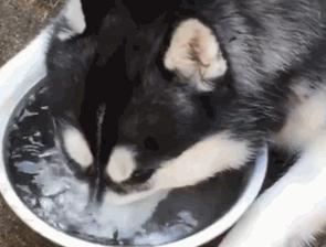 打嗝不停怎么办教你一招快速止嗝,1岁6个月宝宝打嗝怎么办快速止嗝