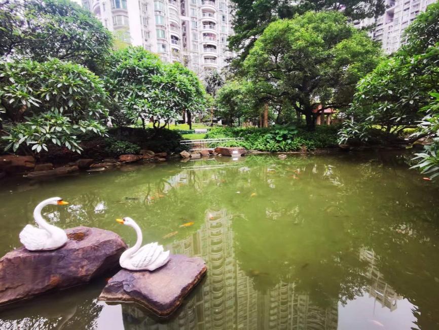 广州海珠越秀翠城花园房价,踩盘龙湖揽境