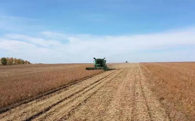 欧盟允许转基因大豆进口吗,美国进口的是转基因大豆吗