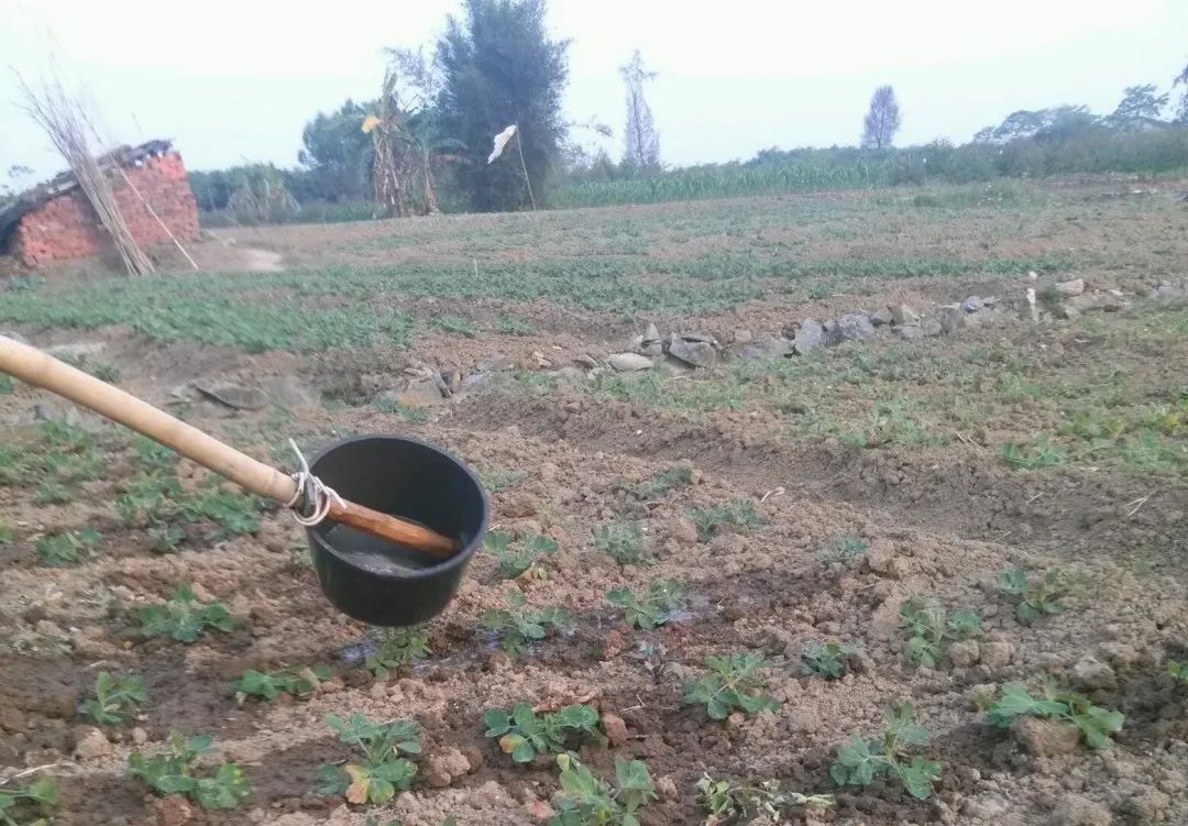 圈内人爆料的假恩爱夫妻,被骂最惨的一对秀恩爱夫妻