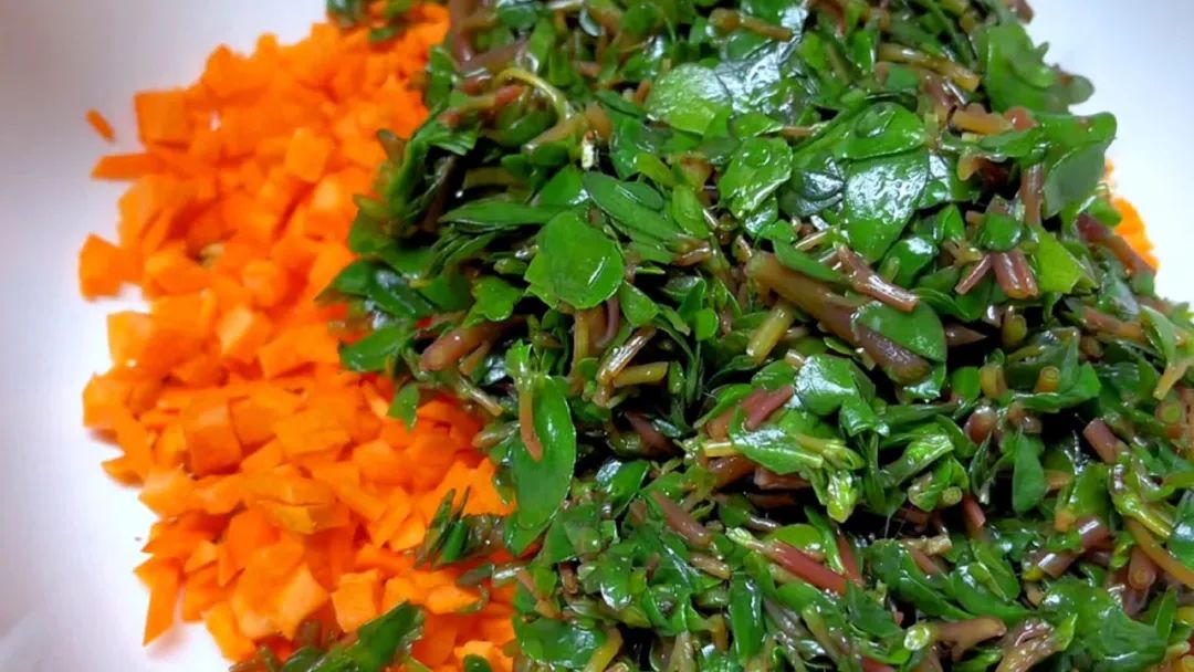 临近三伏最该吃这菜鲜嫩又营养,三伏天鸭肉炖什么