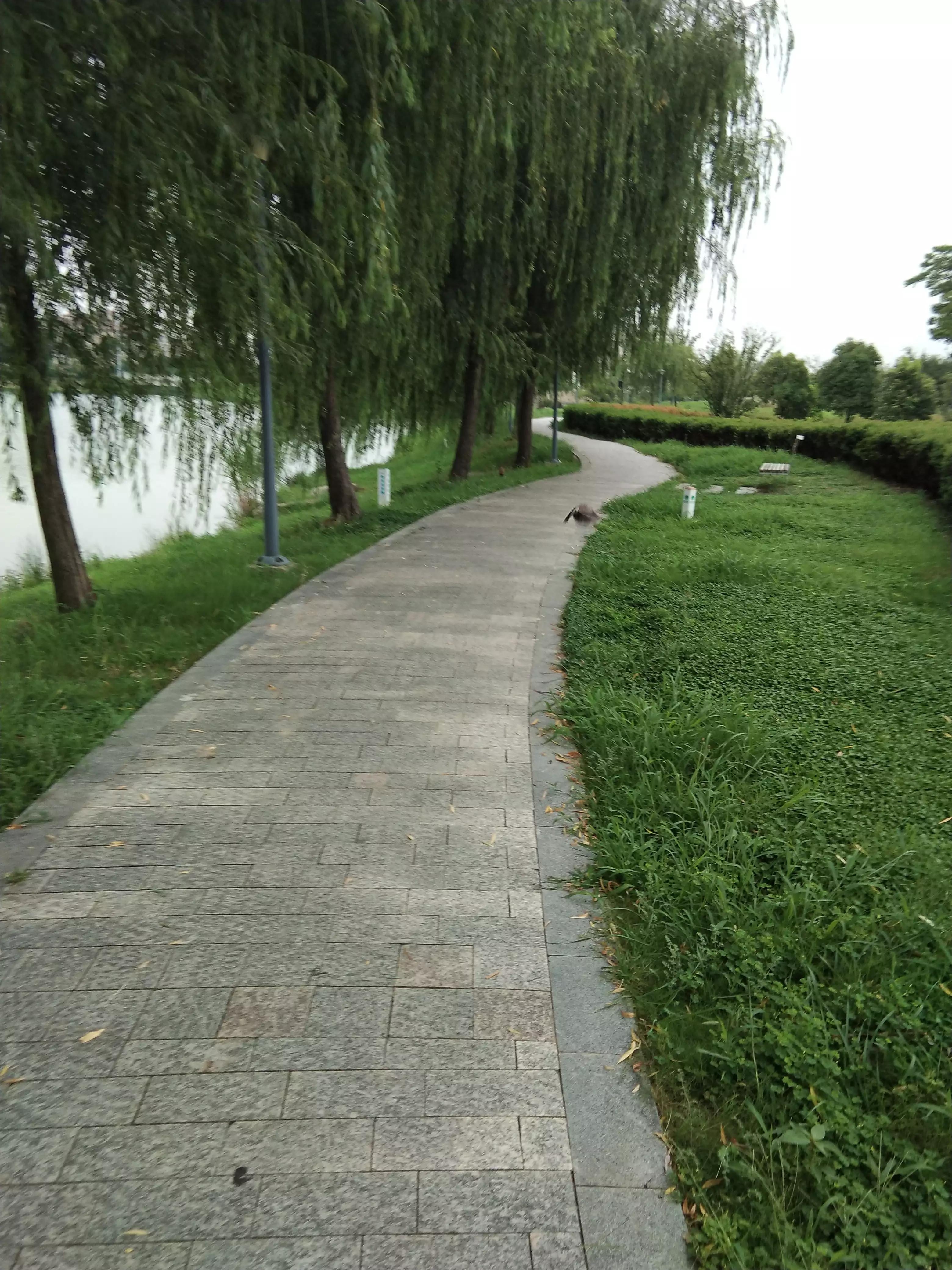 户外音响哪个品牌好,户外唱歌