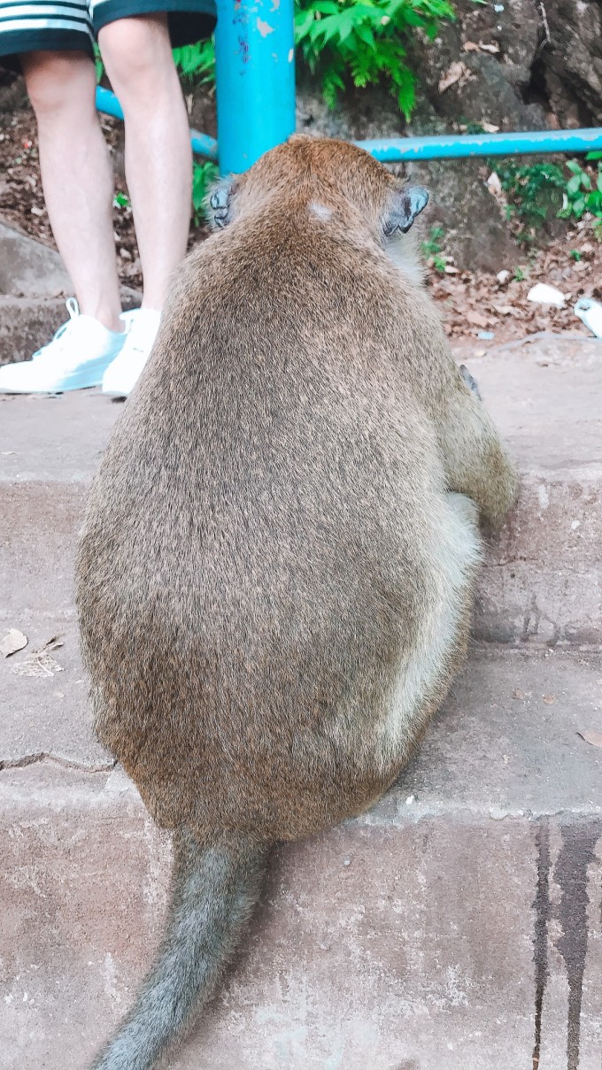 疫情前的泰国旅游,疫情前泰国旅游机场