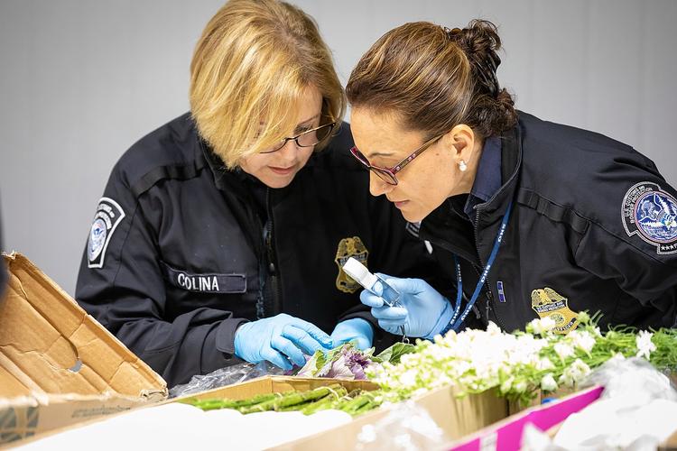 美国对中国出口持续增加，中国买了人家什么东西？答案揭晓