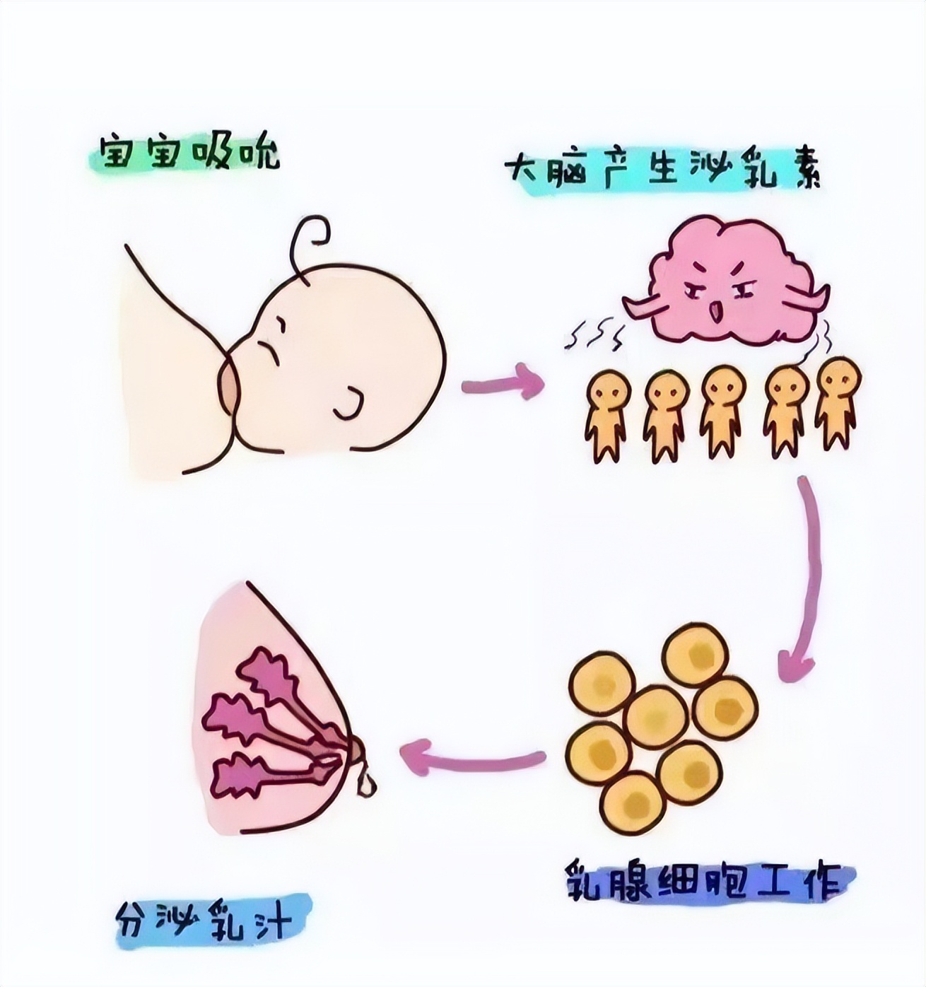 频繁刺激奶阵会让奶水变多吗,奶水不够刺激奶阵有用吗