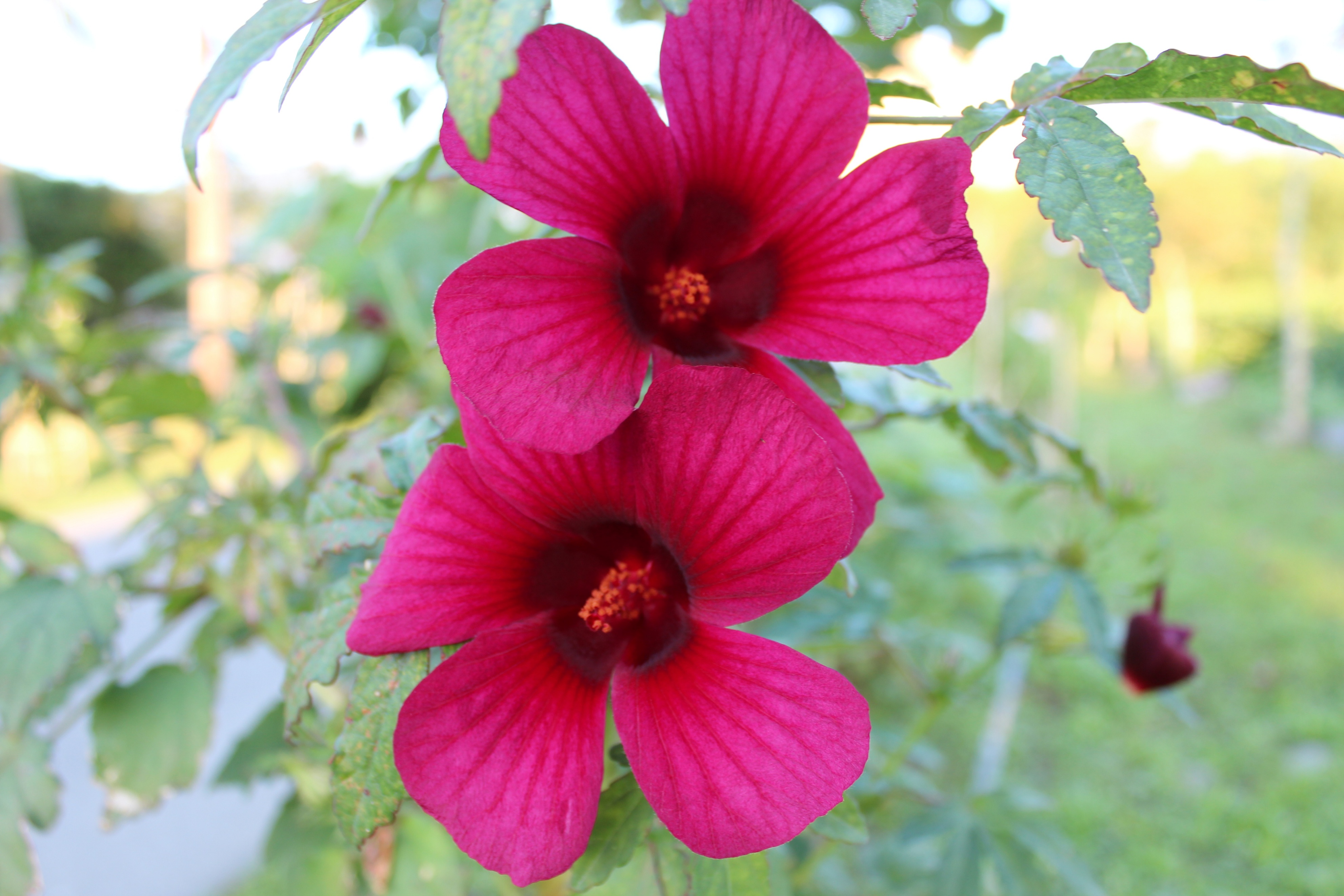 台湾行之垦丁南湾沙滩,台湾行