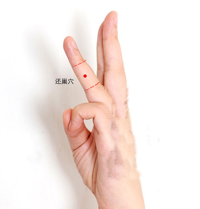 泌尿系疾病针灸,泌尿系统感染针灸哪里最有效