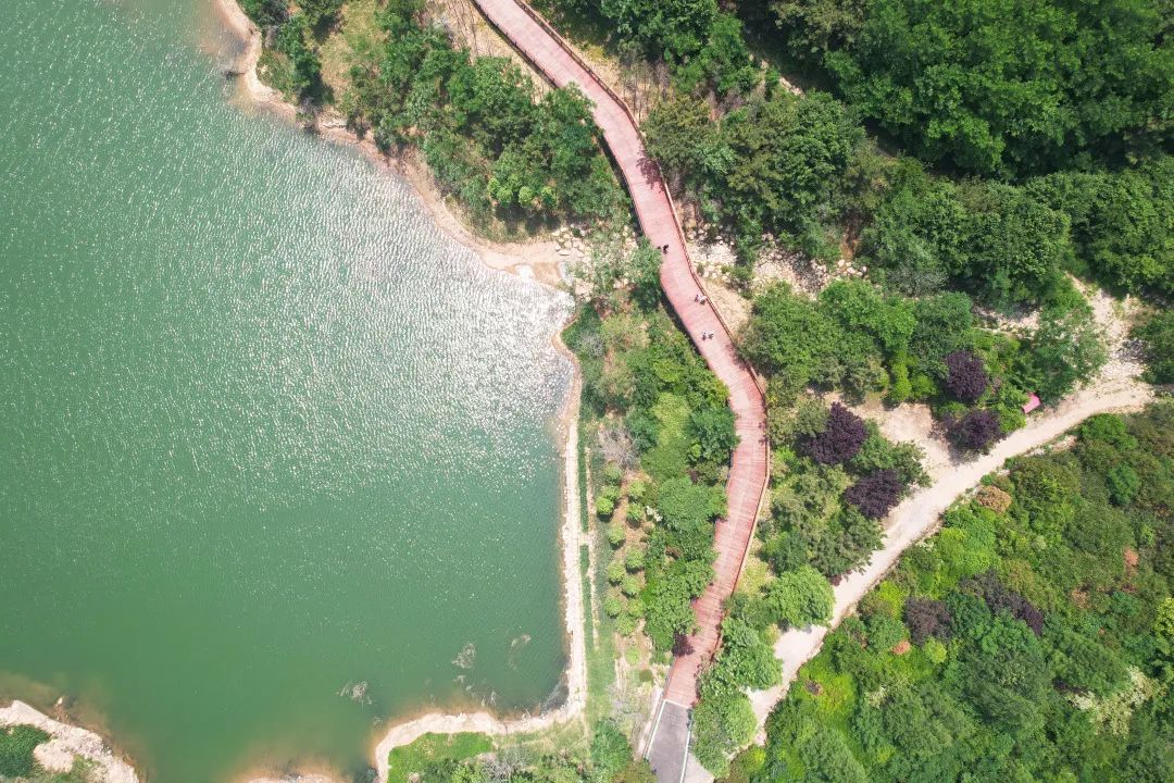 青岛浮山森林公园好玩吗,青岛浮山森林公园开放时间