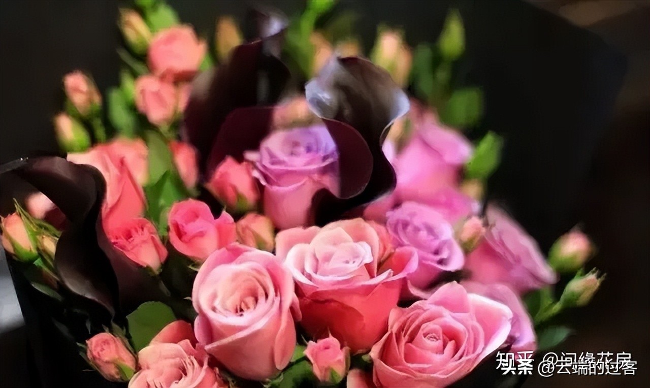 1到99朵玫瑰的含义图片,1到99朵玫瑰花语是什么