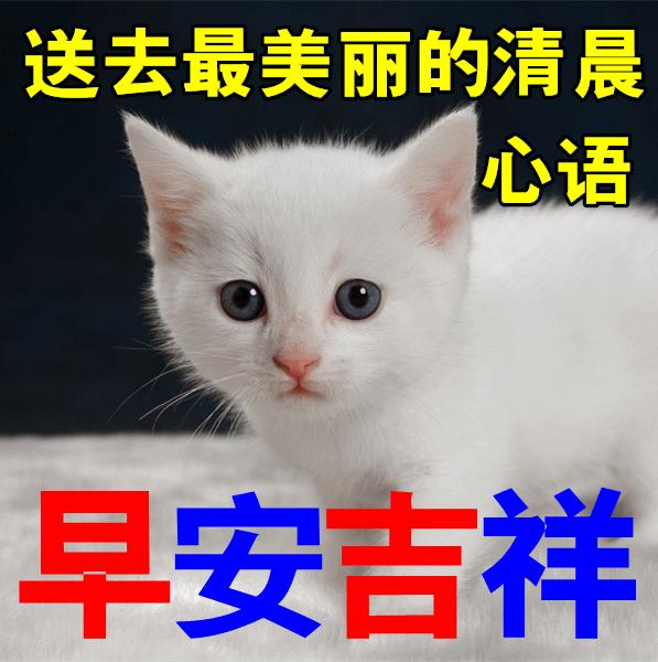 早安语录正能量朋友圈短句子图片,早安心语图片2022