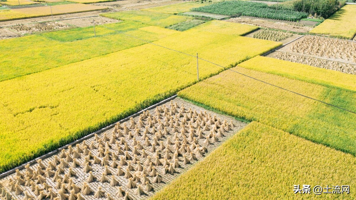 关于高标准农田建设补贴的视频,2022年湖南省高标准农田补贴标准