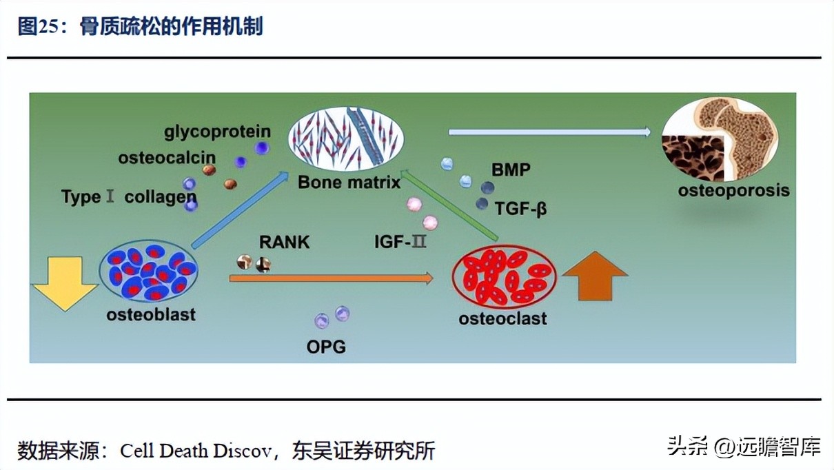 信立泰的核心竞争力,信立泰创新能力