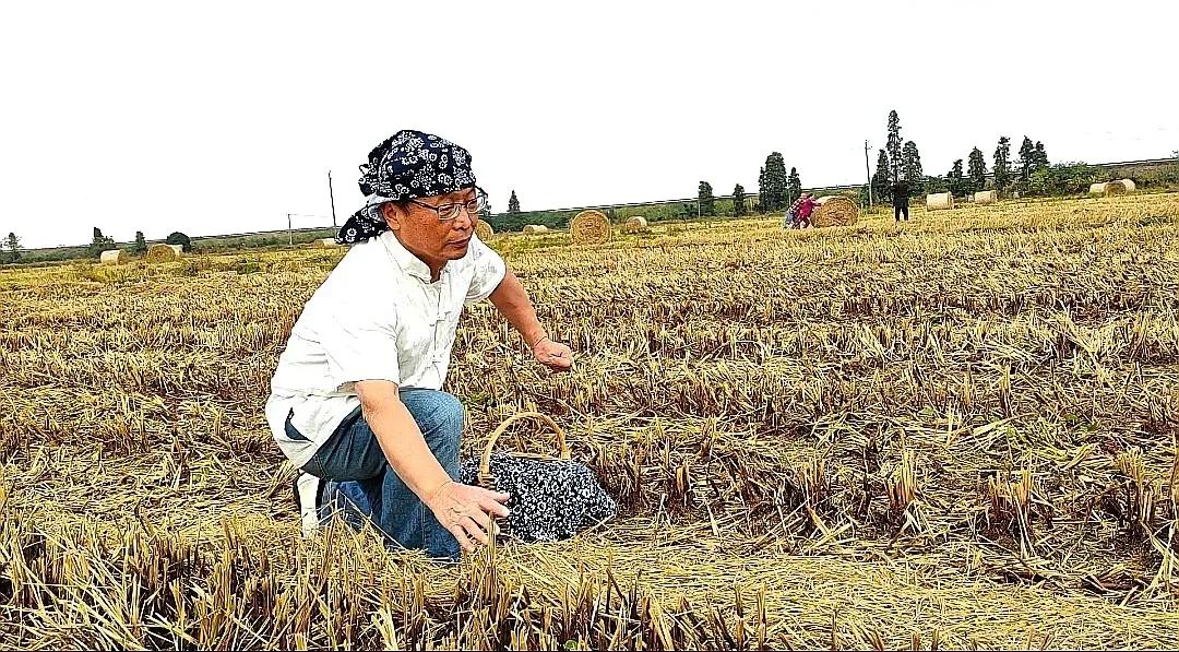 开开心心又一年——2022年开心群活动回顾