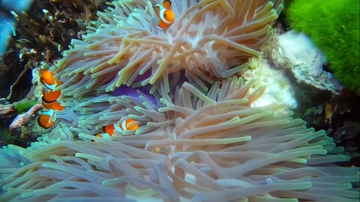 泰国小众海岛,泰国冷门又便宜的海岛