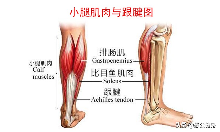 良好的弹跳,好的起跳技术