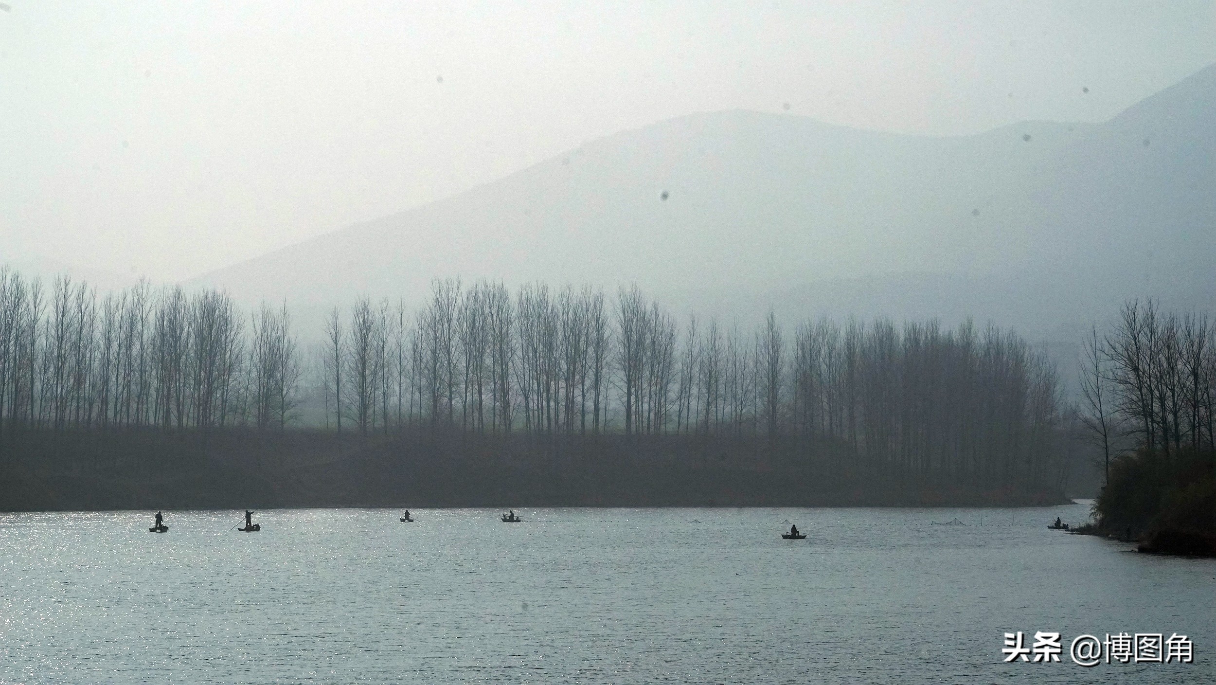鸬鹚捕鱼渔民生活实拍精彩的瞬间,渔民与鸬鹚捕鱼图片