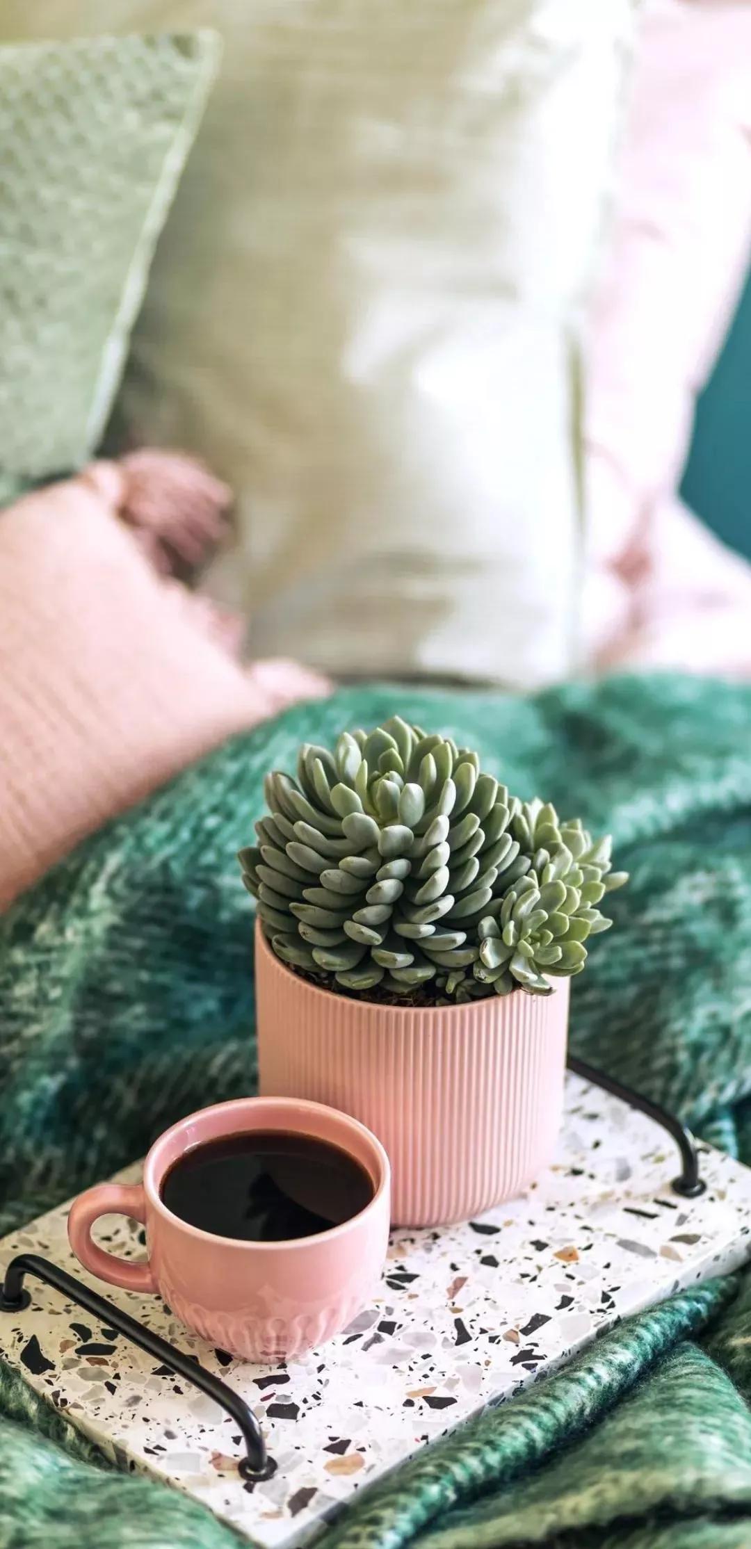 风生水起壁纸高清无水印,美女全屏无水印高清壁纸