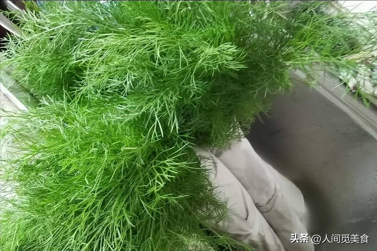 小茴香有几种最好吃的做法,分享几种茴香的做法营养美味