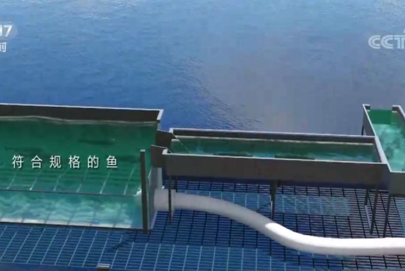 水库养鱼一年收入1000万,30亩养鱼塘一年收入