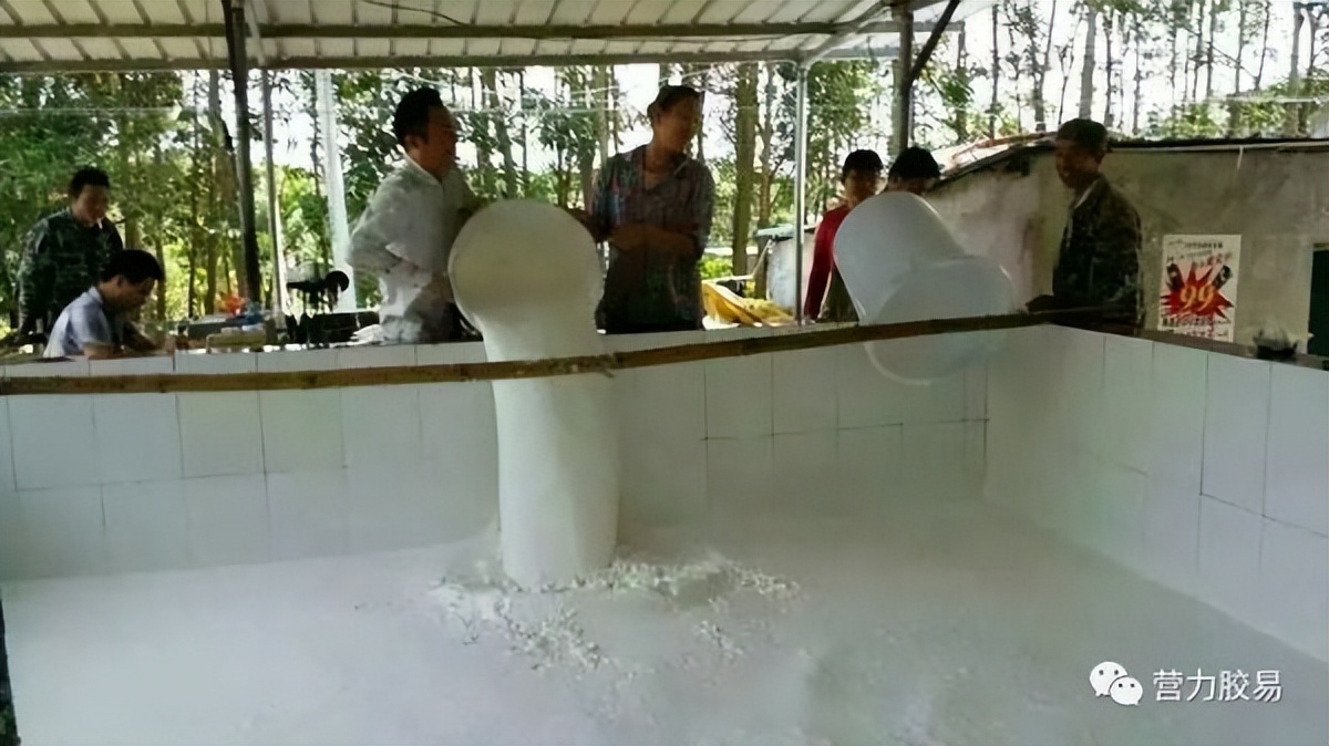 扬帆出海的天然橡胶B2B平台——营力胶易