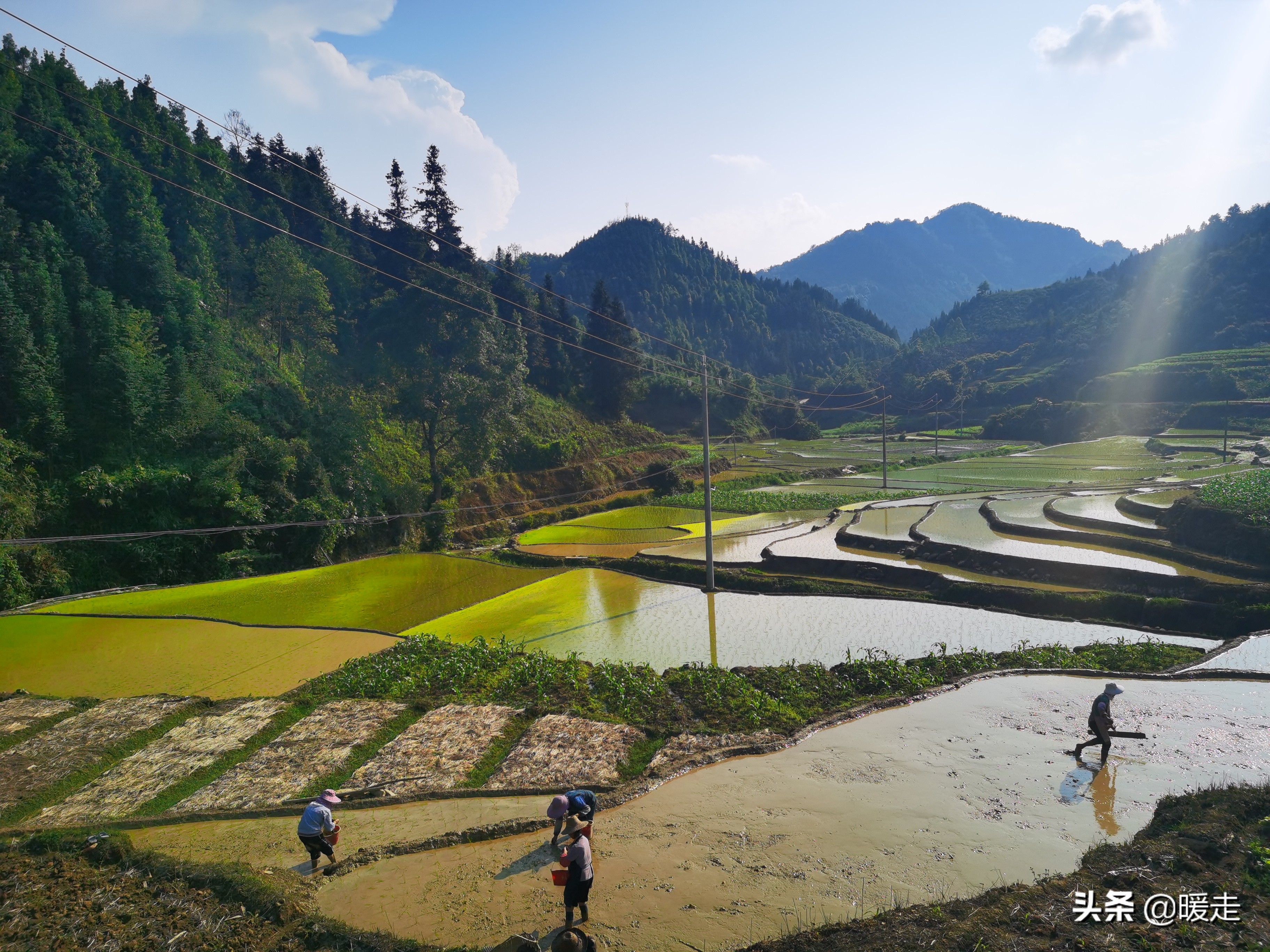 广西农民种田,乡村种田的生活视频