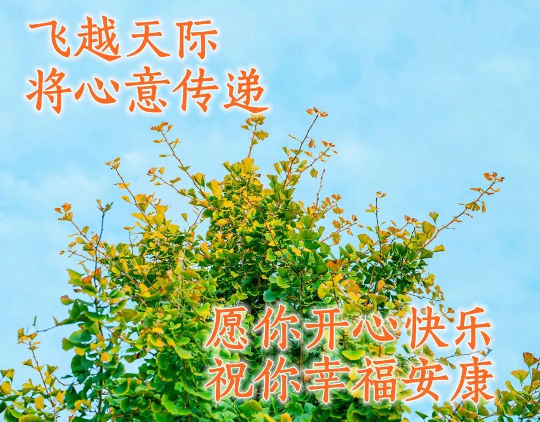 早安心语每日一语励志短句图片,早安问候语正能量努力的短句图片