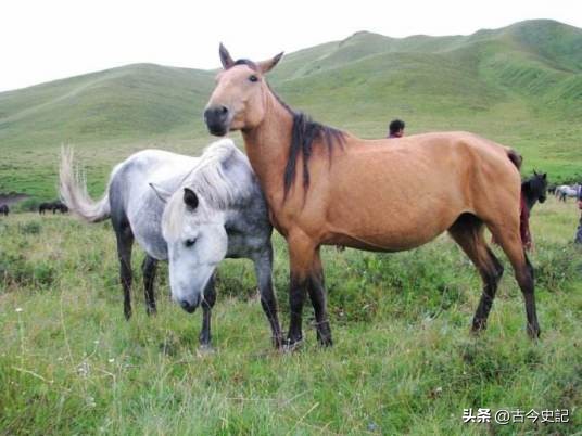 带你了解神秘的青海,青海省冷知识