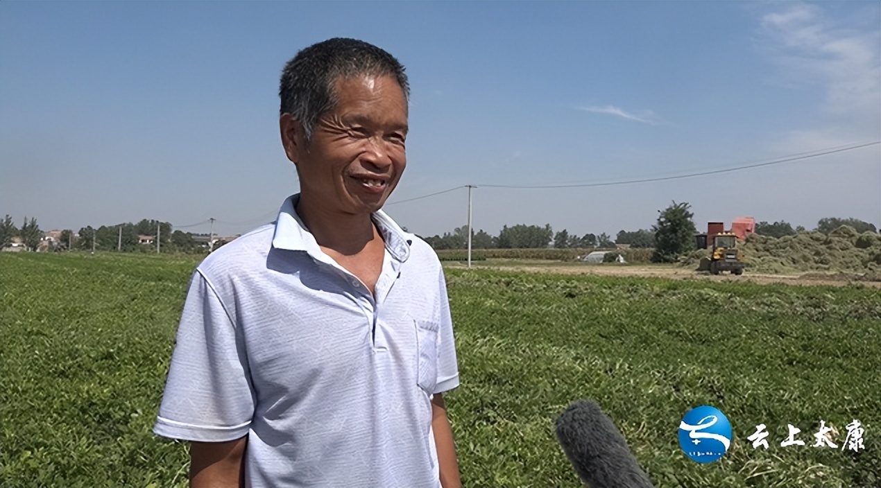 乡村振兴小果园,农民致富路上的金豆豆