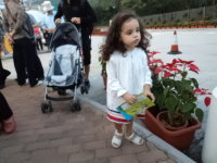 关于港澳游玩的问题,港澳游1000元的团猫腻