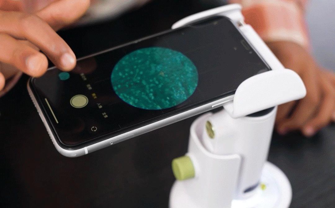 儿童探索放大镜多少倍合适,家长应不应该给孩子买显微镜