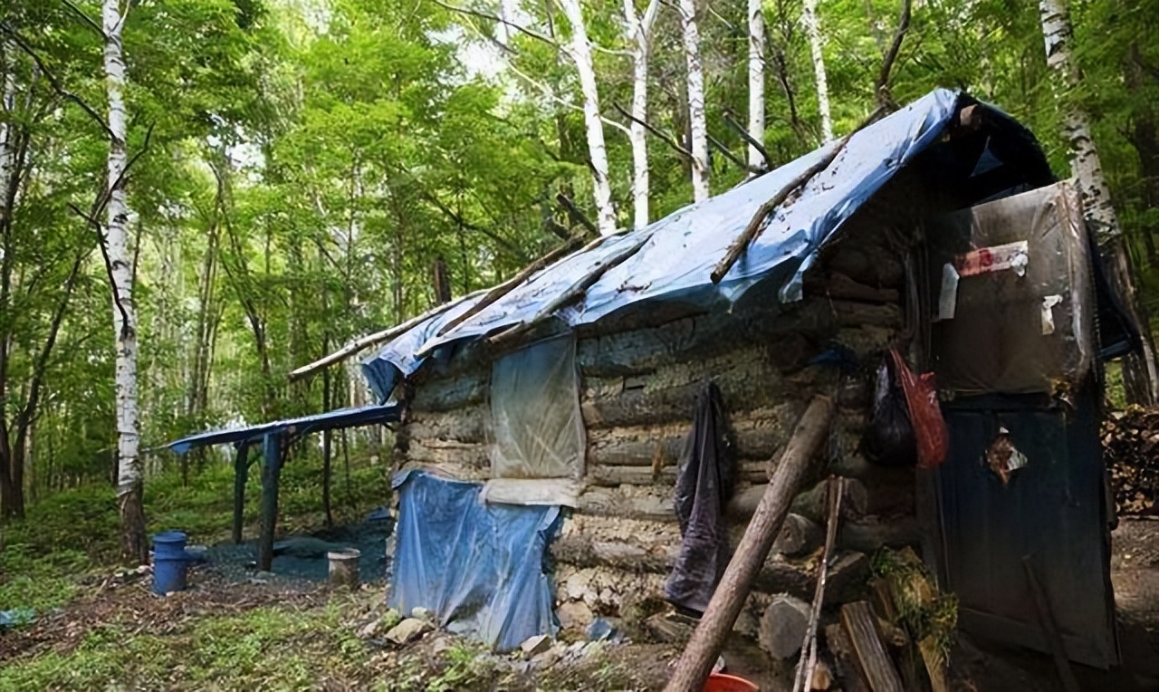 长白山的桦树茸,民国时期长白山采参人的生活