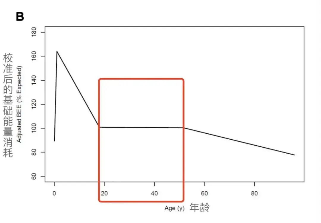 内衣品牌浪漫春天,内衣薄款浪漫春天无钢圈