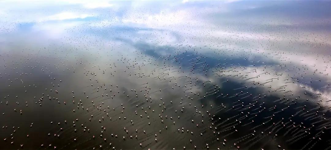 如果人类可以随意穿梭太空,如果人类进入外太空会怎么样