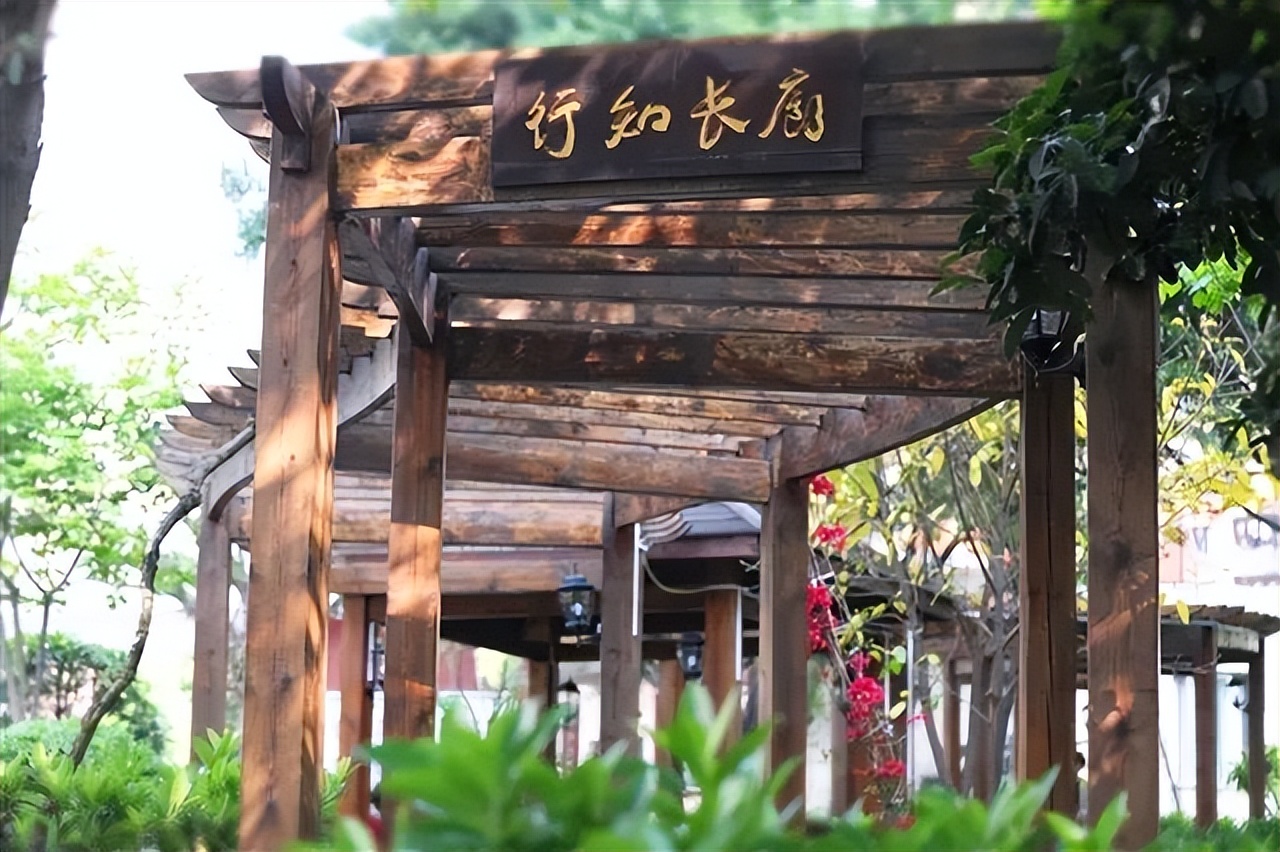 重庆育才成功学校,重庆育才中学校官网