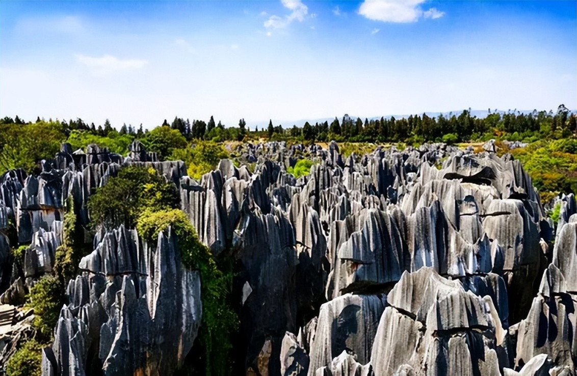 2023新高考浙江地理试卷及答案,2022浙江6月高考地理试题