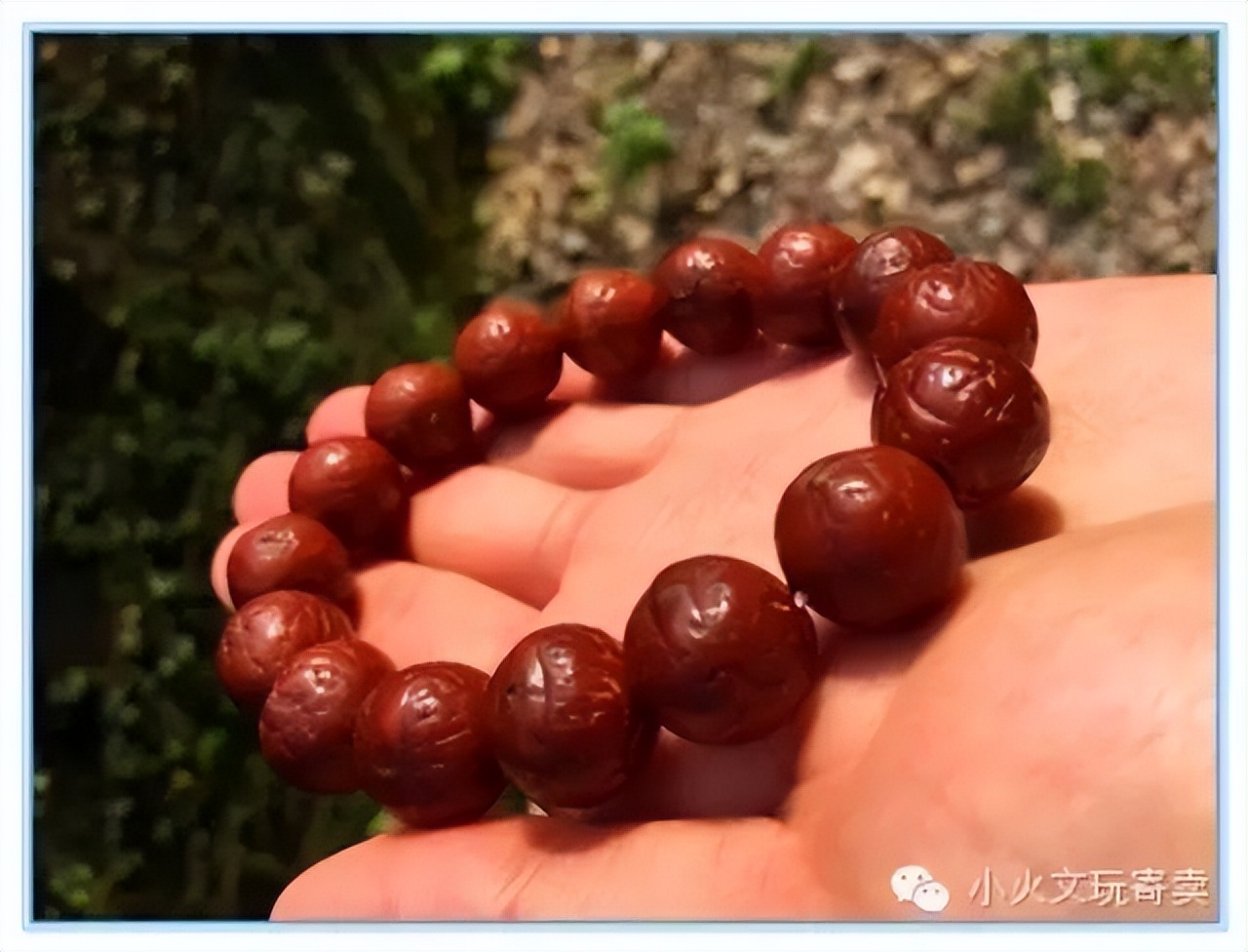 凤眼菩提最好的盘玩方法,多大的凤眼菩提最好