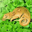 双眼皮术后发红肿是渗血吗,做过双眼皮发红发痒怎么办