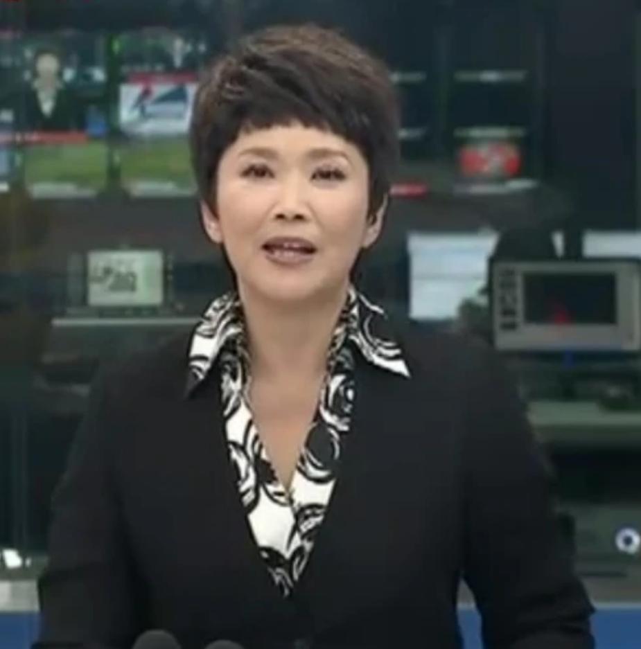 央视女主持人宁辛,主持人宁辛及丈夫近况