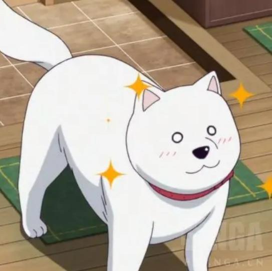 可爱治愈系的小动物动漫,动漫中可爱的动漫宠物