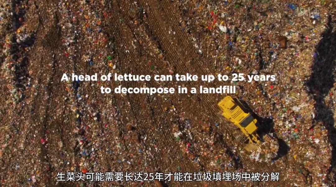 满分推荐！这部颠覆三观的良心之作，绝不该只有300人看过