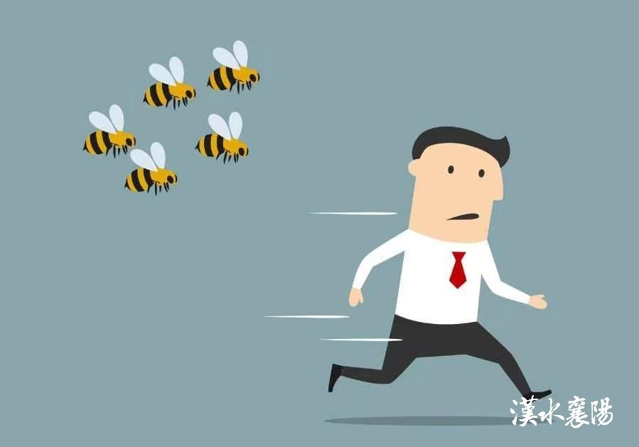 第1健康丨被“勤劳园丁”蜇伤，牢记4个急救原则