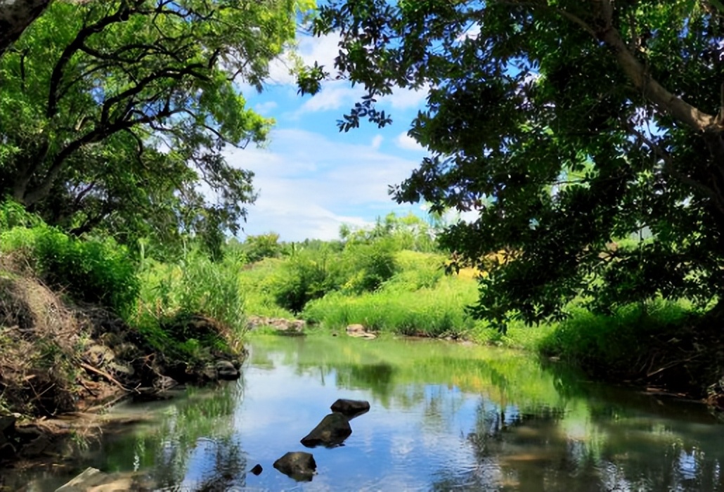 坪山金龟生态艺术小镇,坪山全域自然博物步道