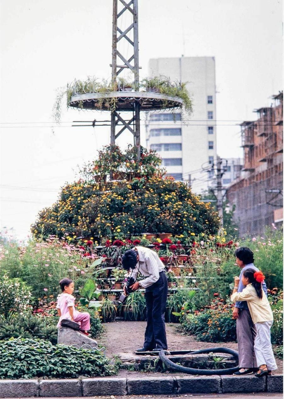 【晚清*楼青**风情】*楼青**女丰乳肥臀，媚态撩人，魅力无限！