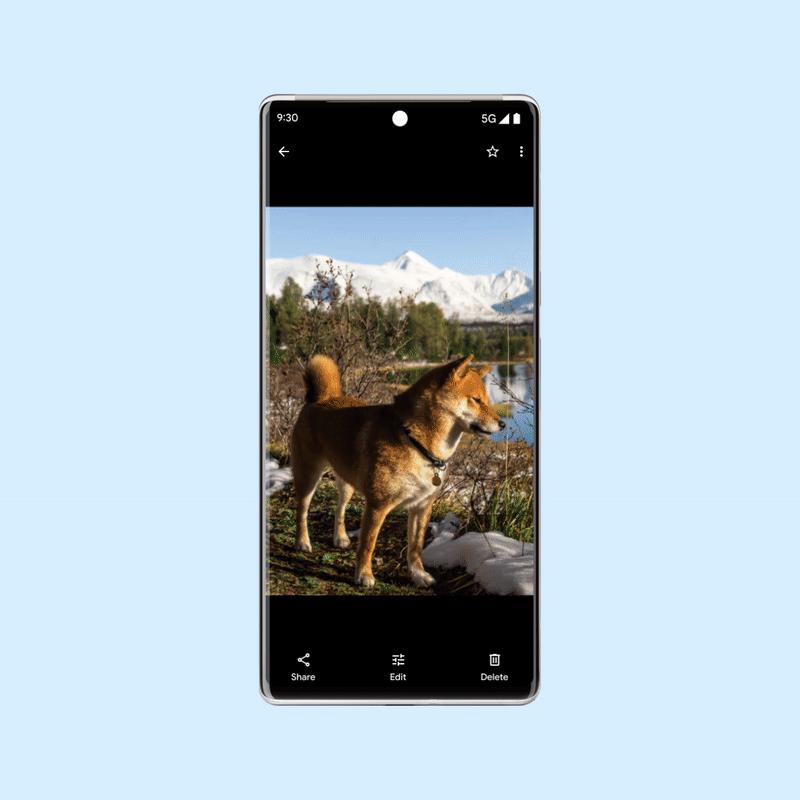 附近共享：Windows和Android之间的交换文件现在可供所有人使用