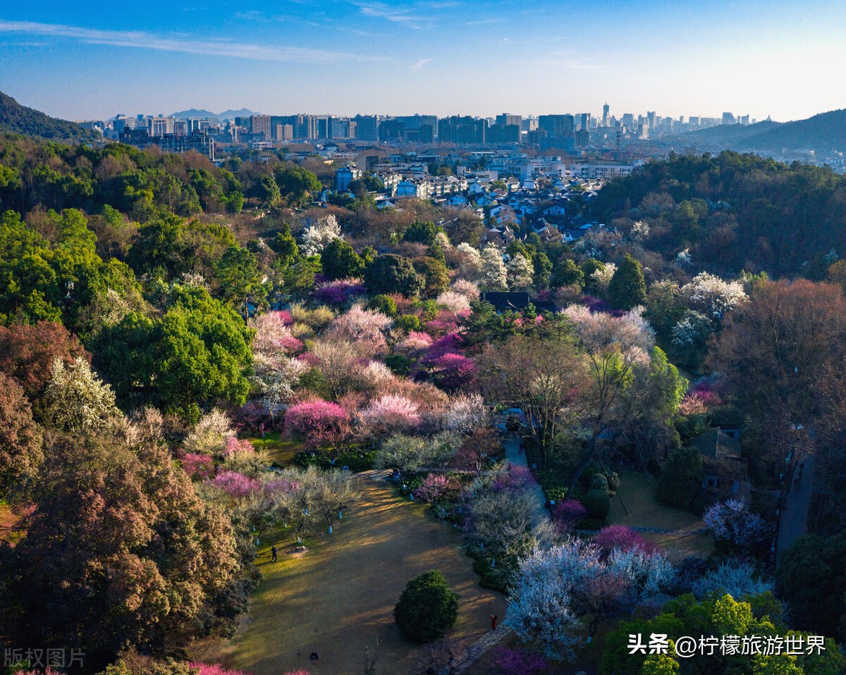 杭州郊外踏春,踏春杭州