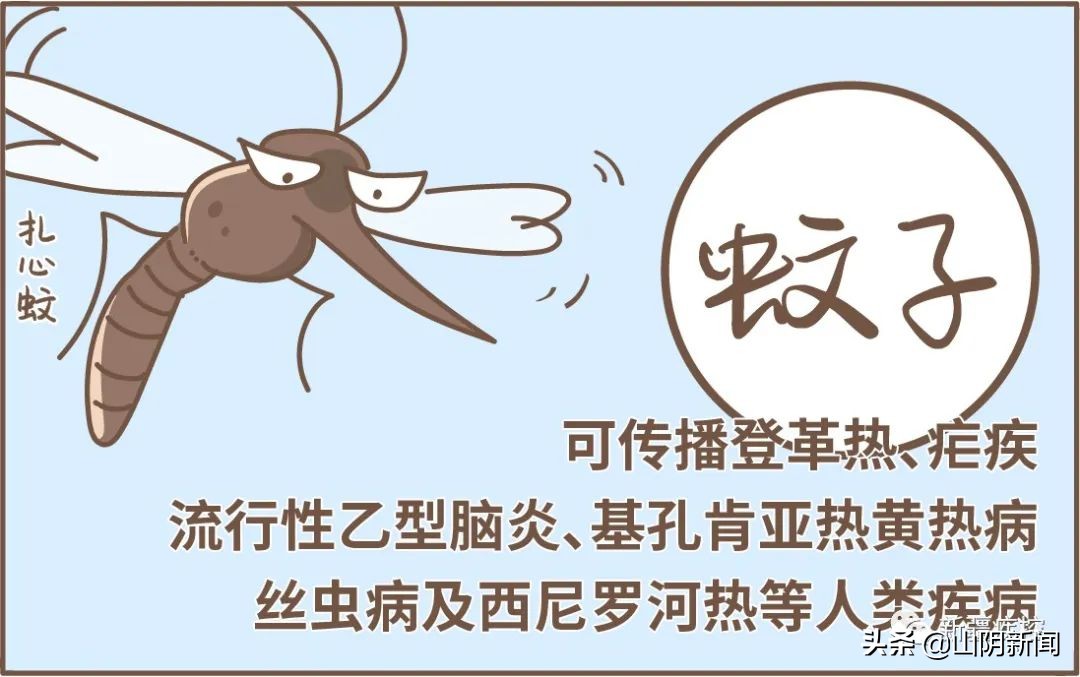 身边常见的动物传染病有哪些,动物之间传播的传染病