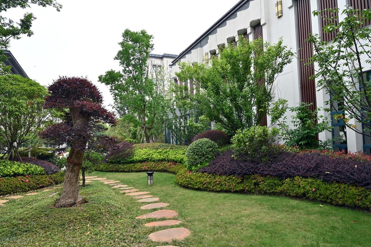 园林绿化养护一般包含哪些内容,园林绿化属于什么经费