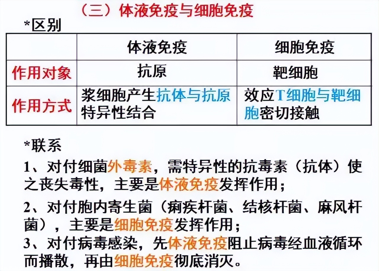 生物高中知识点免疫调节,高中生物免疫调节精讲视频